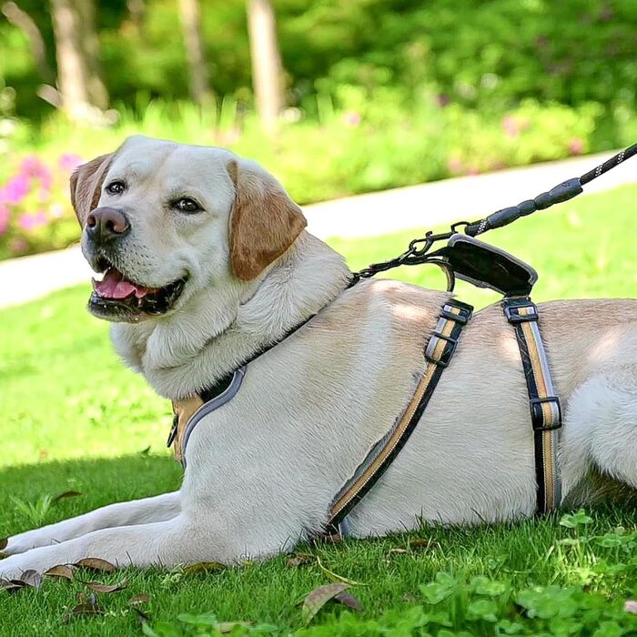 Шлея для собак Mihachi, не тягне, з ручкою, м'яка, відбивна, регульована, для середніх і великих порід