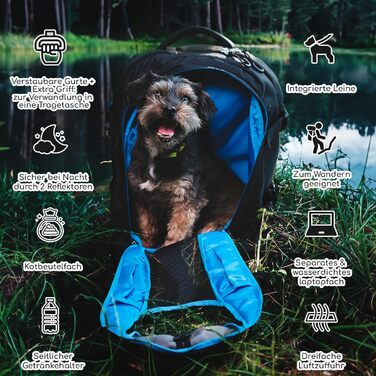 Рюкзак-переноска PETYPAW для собак до 9 кг, дихаючий, водонепроникний, для подорожей, транспортування та прогулянок