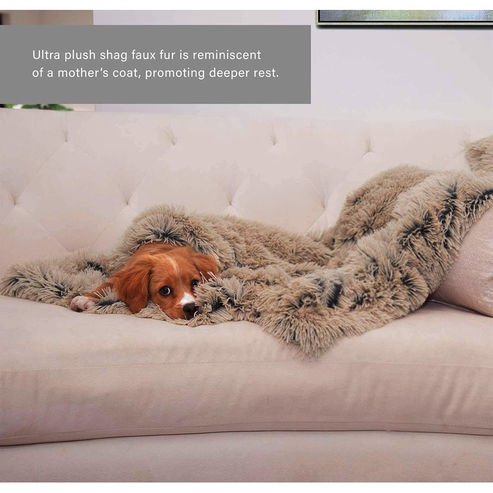 Заспокійнельне ліжко для собак, Donut-дизайн, плюш, з блискавкою, придатне для прання в машині, ліжко для маленьких тварин, собак, котів, кошенят та цуценят, 50 см (XL /80 см, Бежевий)