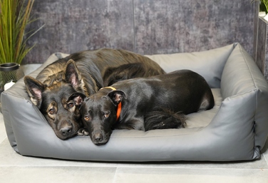 Текстильне ліжко для собак, сіре, 100 x 70 см, розмір 4L