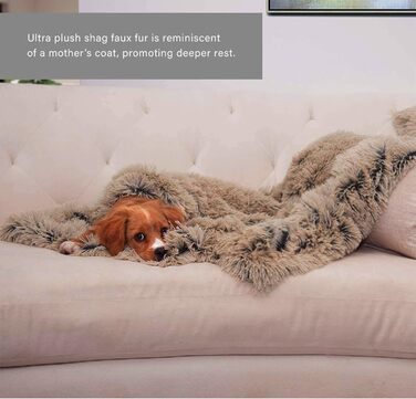 Заспокійнельне ліжко для собак, Donut-дизайн, плюш, з блискавкою, придатне для прання в машині, ліжко для маленьких тварин, собак, котів, кошенят та цуценят, 50 см (XL /80 см, Бежевий)