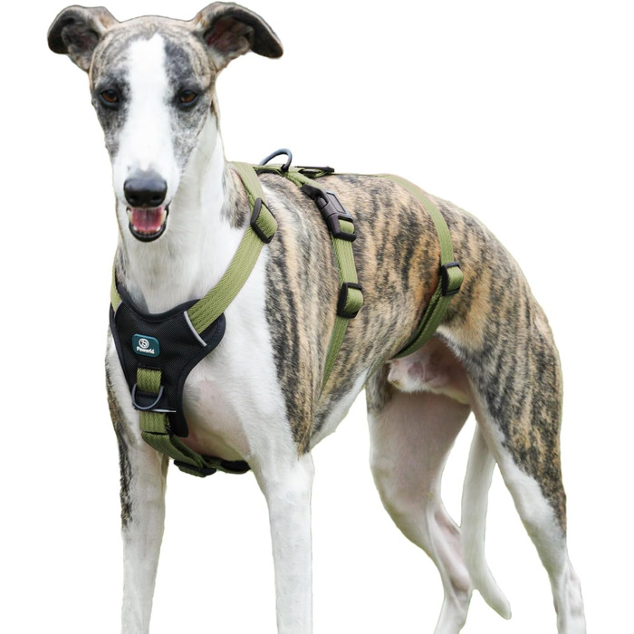 Шлейка для собак Paworld, анти-тяга, шлейка від паніки, анти-вислизання, регульована, дихаюча жилетка для собак маленьких, середніх та великих розмірів (XL) Extra Large (упаковка 1), колір: зелений