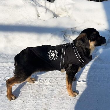 Зимовий жилет для собак, водонепроникний, з D-кільцем (зелений, XL/чорний, 4XL)