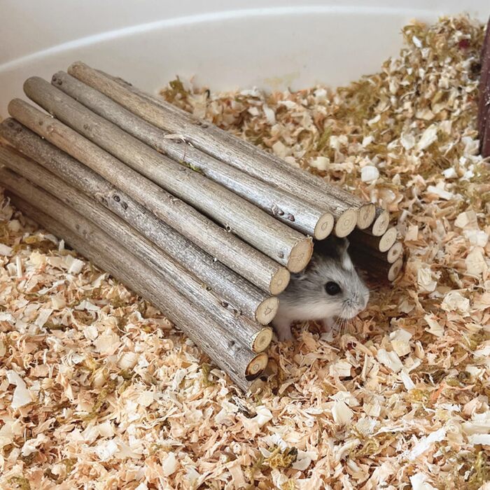 Туннель-іграшка для хом'яків та гризунів DEMONTALK з натурального дерева, тунель-труба для хом'яків, щурів, мишей