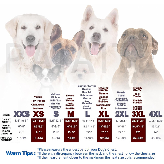 Світшот для собак Чіхуахуа з капюшоном, чорний, з написом 'The Dog Face', розмір Small