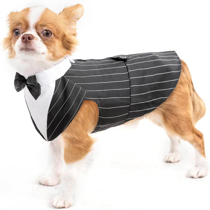 Костюм для собак 