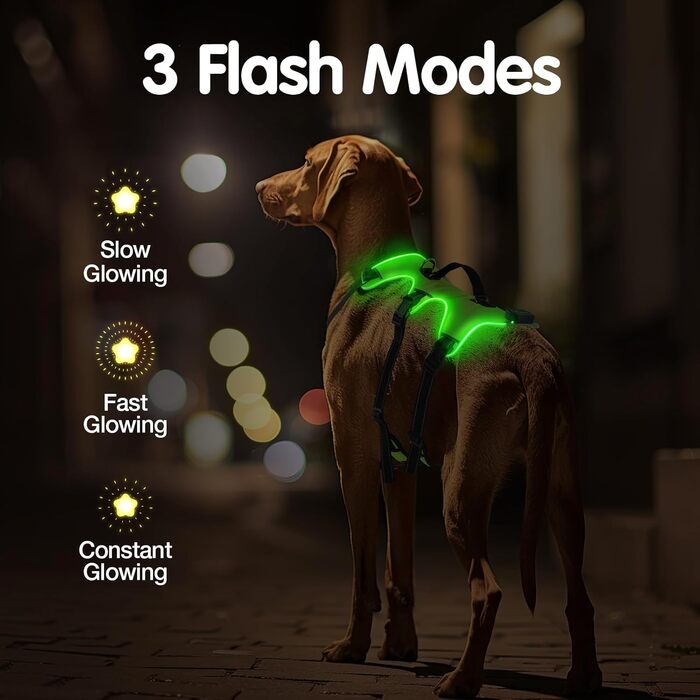 Світловідбиваючий нашийник для собак з LED, перезаряджуваний, м'який, водонепроникний, 3 режими, зелений, розмір M