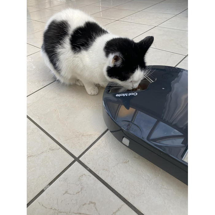 Автоматичний годівниця для котів та маленьких собак Cat Mate C500 з таймером, 5 мисок, сіра