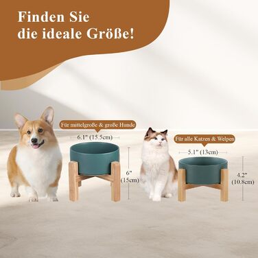 Миска для кота, миска для корму кота, миска для кота з підставкою, піднята миска для котів, миска для собак, керамічна миска для котів та собак, 400 мл, зелена