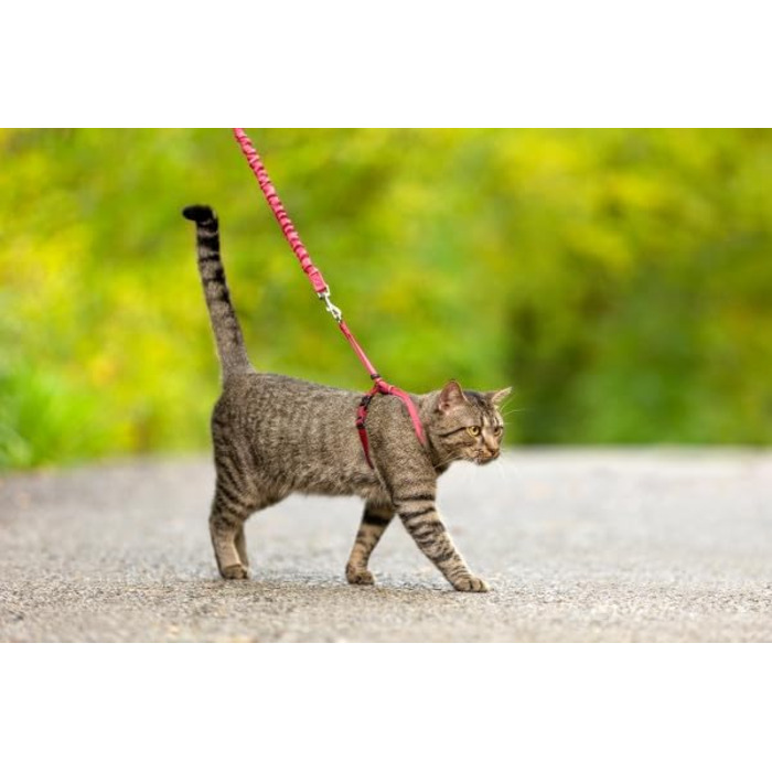 Шлейка для котів PetSafe Easy Walk, червона, розмір M, для прогулянок