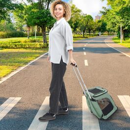 Сумка-рюкзак для собак і котів Soudesileim 2-в-1 з візком, до 9 кг, зелена