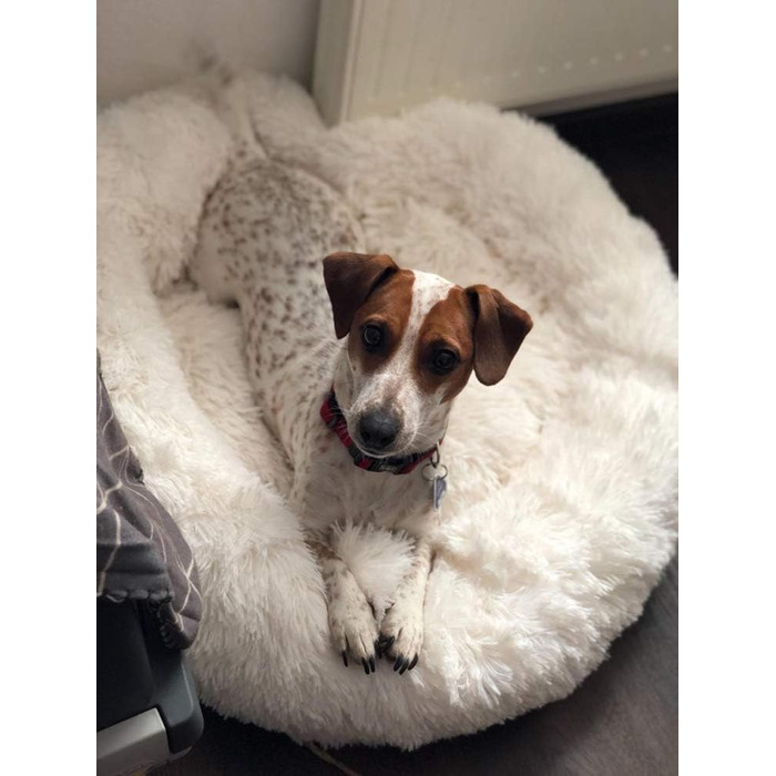 М'яке ліжко-софа для собак Deluxe, кругла, плюшеве, водонепроникне, для великих та екстра-великих собак, 80 см, білий колір