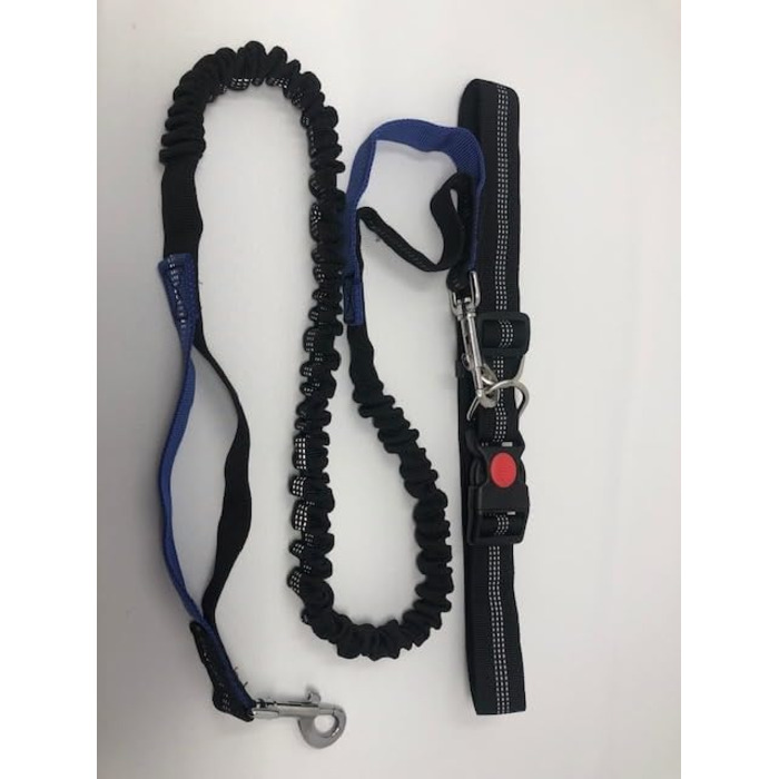 Сумка для тренування собак Paw Leckerli, сіра, стандартна (1 шт.)