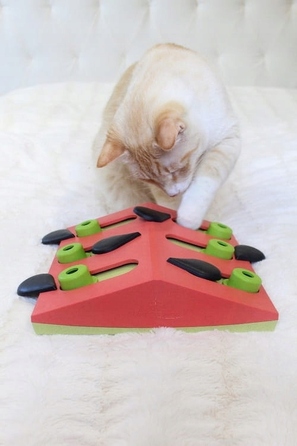 Інтерактивна головоломка для котів Nina Ottosson Cat Puzzle Play — Melon Madness