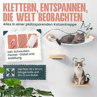 Кігтеточка-стіна Curious Paw для котів з гамаком - великі сходи з бука (Made in Germany), 2 сходи та гамак