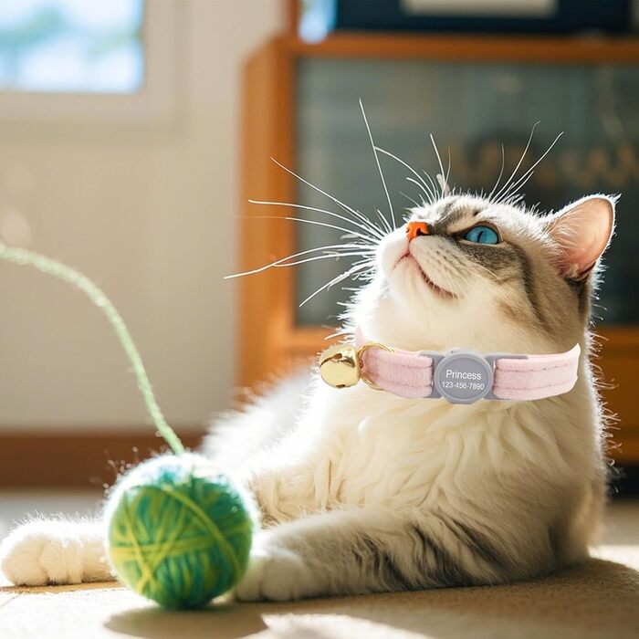Персоналізоване ошатне нашийник для кота з безпечною застібкою та дзвіночком, нашийник з іменним жетоном та номером телефону, регульований, з велюру, для кошенят