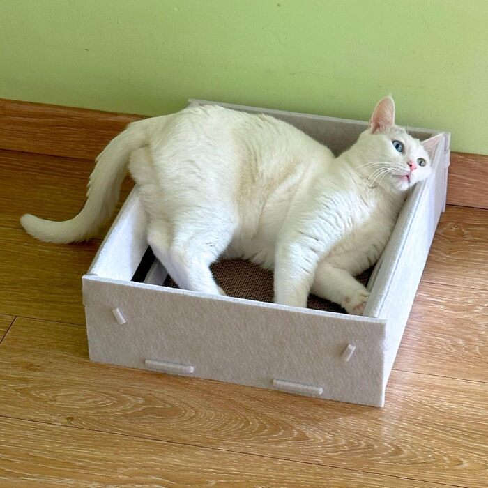 Котяча ігрова коробка з фільцу з двосторонньою дряпальною поверхнею та інтегрованим іграшковим елементом - компактна альтернатива котячому будиночку (кремовий)