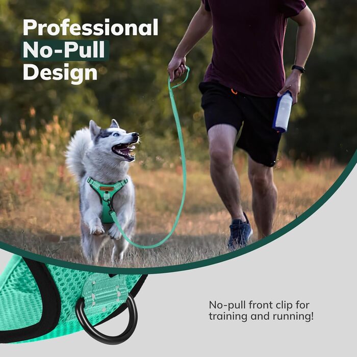 Нашийник для собак FAYOGOO з відбиваючими елементами, без чіткого обмеження, м'який, з підкладкою, для маленьких, середніх та великих собак, зелений, XS