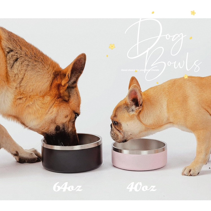 Набір мисок для собак IKITCHEN з нержавіючої сталі, подвійні стінки, ізольовані, чорні (1,2 л)