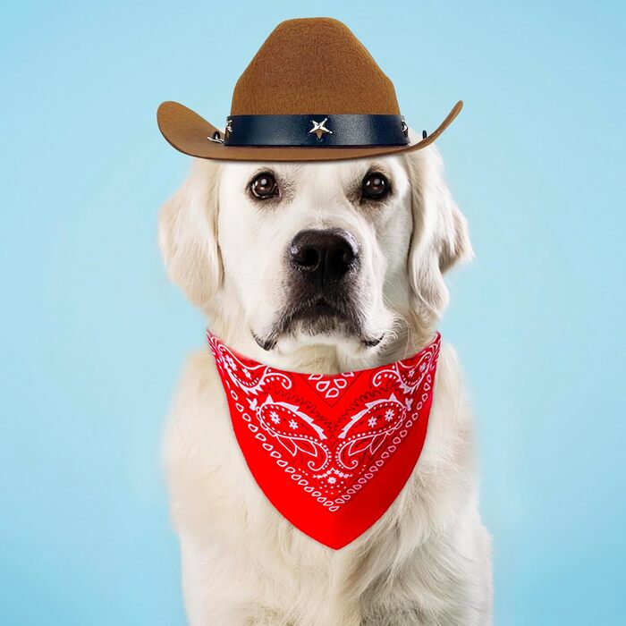 Ковбойський костюм для домашніх тварин: капелюх та бандана, комплект аксесуарів для собак та котів, коричневий