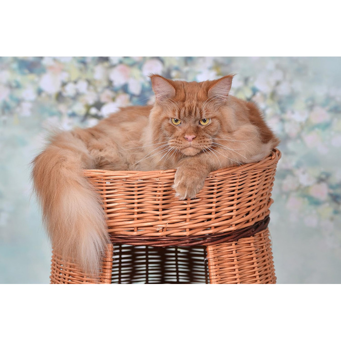 Багатоярусна котяча кімната з трьох поверхів, корзина для кота з плетеної лози, котячий будиночок з подушкою, котячий турнік