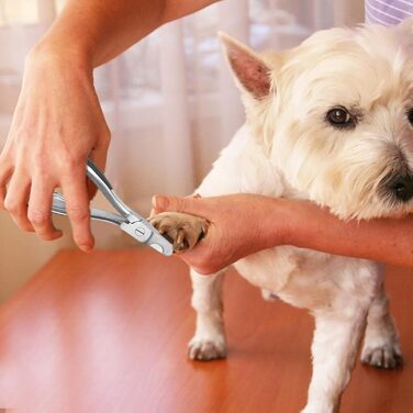 Кліпси для стрижки нігтів собак Nagelclips – професійний інструмент для догляду за собаками | Безпечні та гострі ножиці для стрижки кігтів