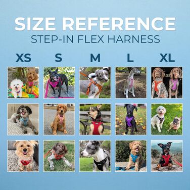 Шлейка для собак Voyager регульована з світловідбиваючими смугами Best Pet Supplies - міцна жилетка для повного тіла без натягу з кільцем для повідка D-подібної форми, дихаюча, Рожева, розмір XS (Обхват грудей: 13 - 16')