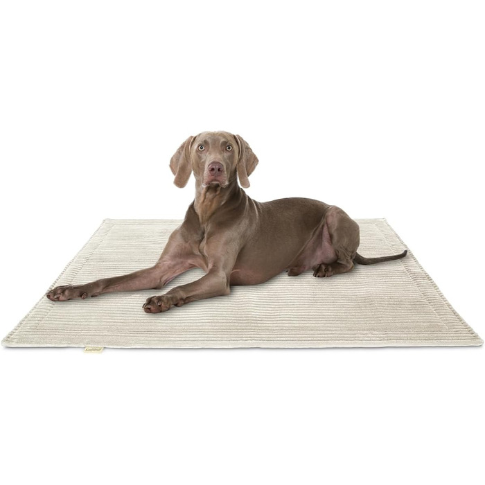 Лежанка для собак Knuffelwuff Timor 80x60 см - м'яка та зручна, з cord тканини, для великих, середніх та маленьких собак, бежева