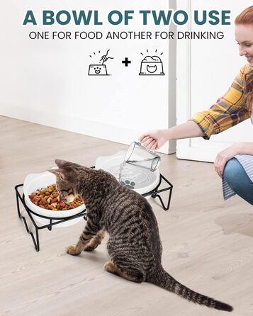 Набір мисок для котів PETTOM (2 шт.) з підставкою, кераміка, захист шиї, зелений + сірий