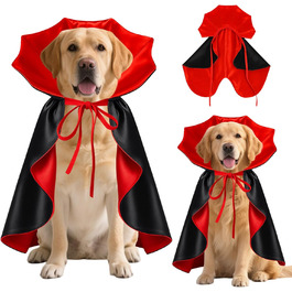 колір: гниль