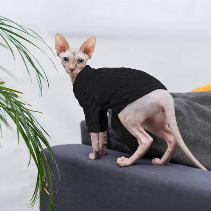 В'язаний жилет для безшерстих котів з високим коміром, чорного кольору. Дихаючий одяг для Sphynx, Cornish Rex, Devon Rex, Peterbald. Теплий пуловер-піжама для котів.