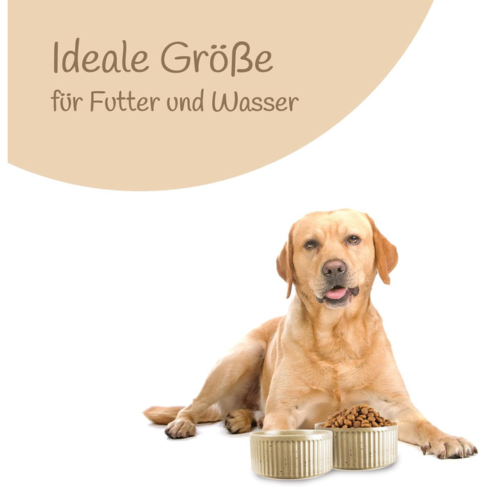 Набір мисок для собак з кераміки (2 шт) об'ємом 400 мл. Миски для маленьких та великих собак з антиковзною основою, придатні для миття в посудомийній машині. Бежевий колір.