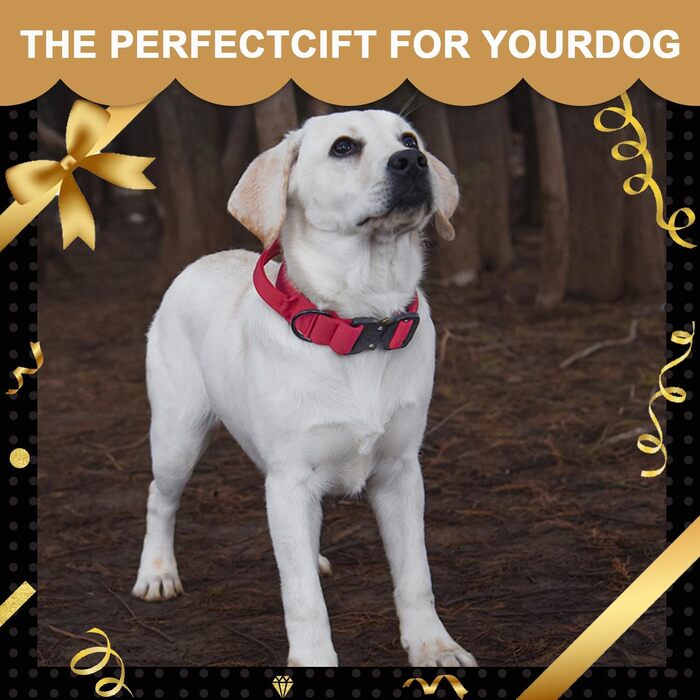 Нашийник для собак Vivi Bear тактичний, регульований, з контролем, нейлон, неопрен, для великих собак, червоний, розмір L