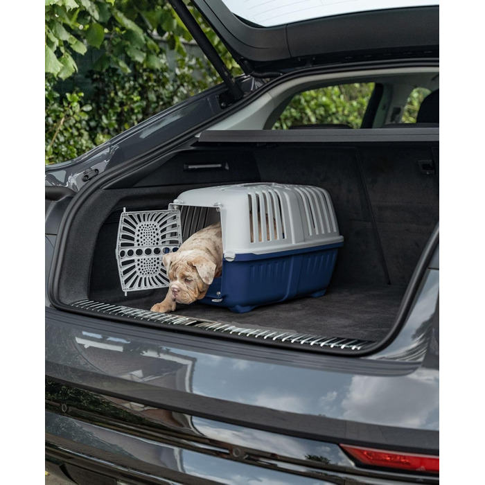 Транспортна переноска для собак Lionto, 55x36x36 см, сіра, з ручкою, для котів та тварин до 15 кг