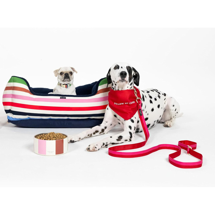 Повідок для собак Kate Spade New York 1,4 м, міцний, з золотистою фурнітурою, стильний для малих і середніх порід