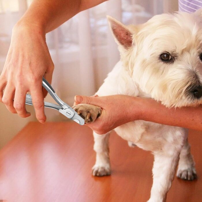 Набір для догляду за кігтями для собак та котів: кусачки та пилка, нержавіюча сталь