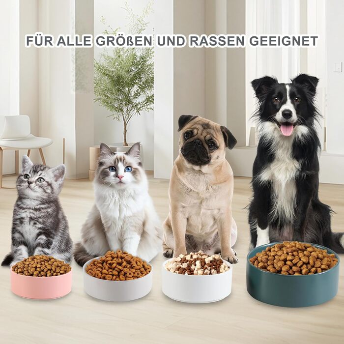 Керамічна миска для собак - неслизька, для маленьких та середніх собак, для води та корму. Керамічна миска для котів. Біла, 15 см, 720 мл