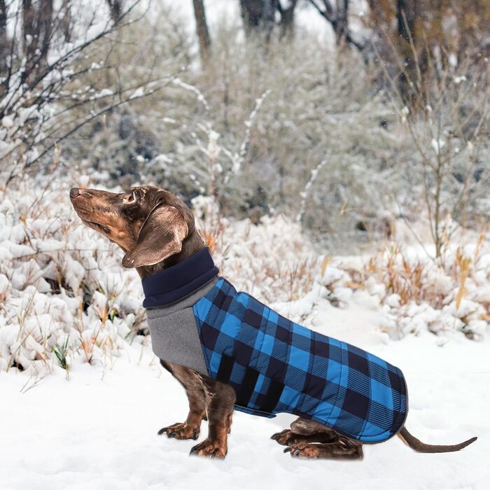 Теплий водонепроникний зимовий одяг для собак (Такса) - блакитний, розмір L, в клітинку