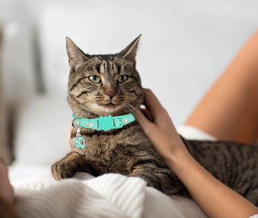 Нашийники для котів з застібкою-карабіном, регульовані, з дзвіночком, чорний + синій, 2 шт., 20,3 - 33,3 см