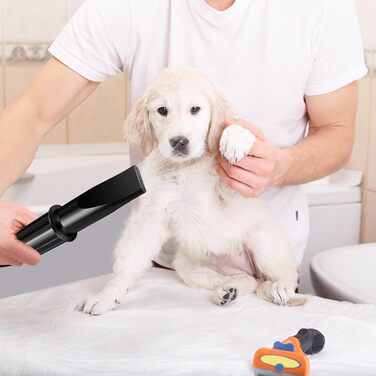 Сушарка для собак 3500W, тиха, професійна, з 4 насадками, для грумінгу та догляду за тваринами