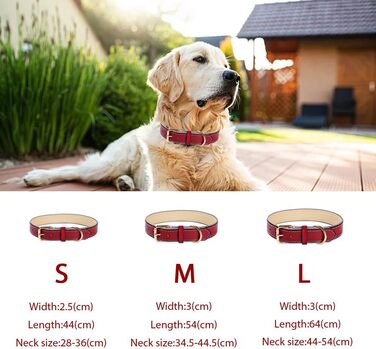 Нашийник для собак з червоної шкіри - якісний, м'який, з відбиваючими елементами та золотистою блискавкою для собак малих, середніх та великих порід
