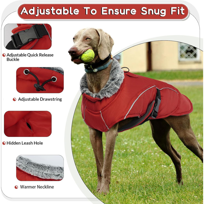 Водонепроникний зимовий теплий одяг для собак - куртка, жилет для чихуахуа, французького бульдога (Червоний, S)