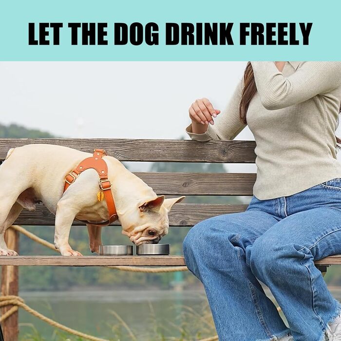 Поїлка для собак на прогулянці 950 мл – ізольована сталева поїлка з мискою для їжі та води, портативна, BPA-free, для подорожей, прогулянок та активного відпочинку (Світло-блакитний, L)