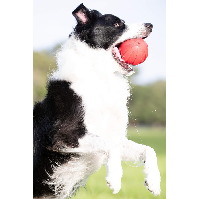 Іграшка для собак Nerf Dog Gummiball з інтерактивним пищиком, легка, довговічна, водовідштовхувальна, 10,2 см, для середніх і великих порід, червона