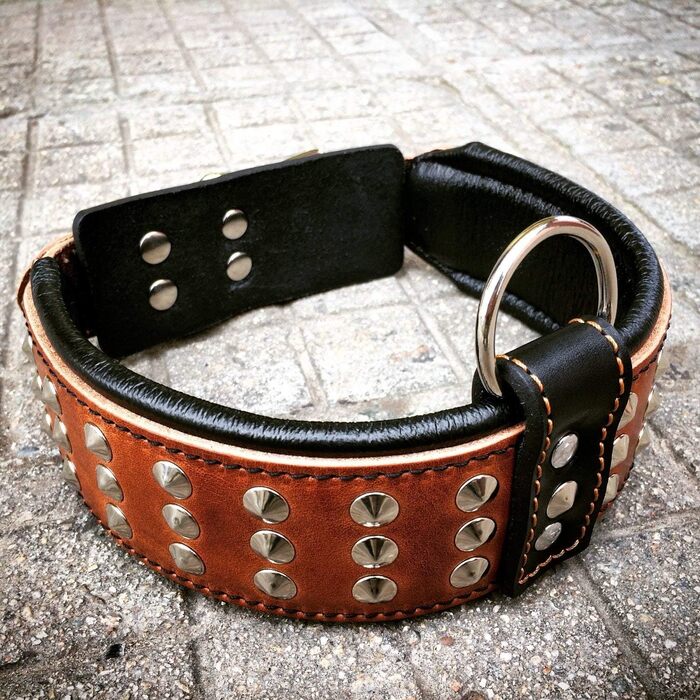 Нашийник для собак Bestia Star з шипами, м'яка підкладка, ширина 6,5 см