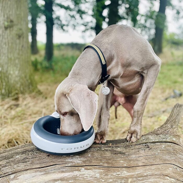 Автоматична поїлка для собак і котів Torus Pet Maxi, 2 л, з фільтрацією, вугільний фільтр, антибактеріальна, без BPA, для дому та подорожей