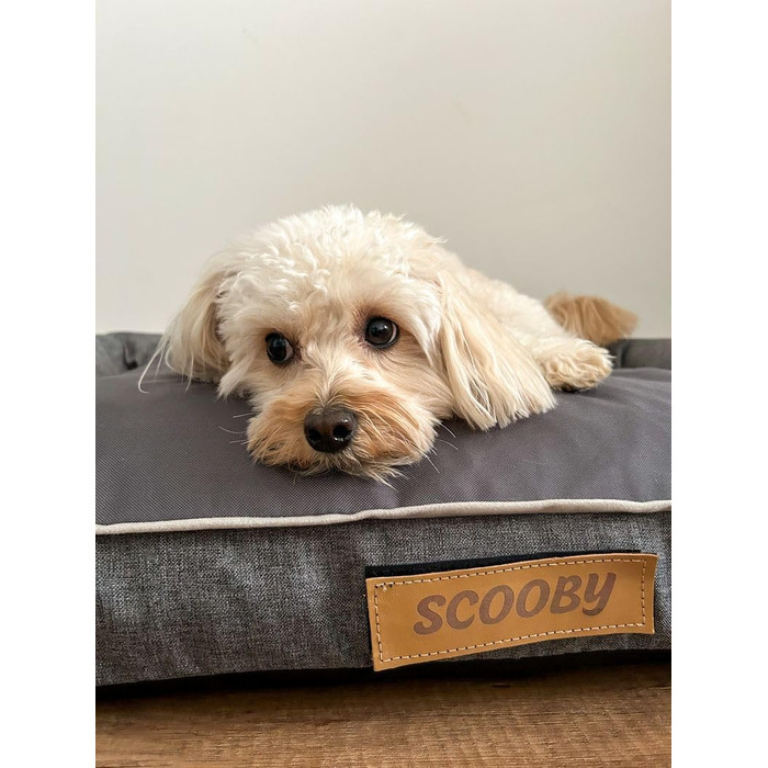 Персоналізоване собаче ліжко XL - для великих, середніх собак - подушка, корзинка для собак - килимок для собак з гравіюванням імені (Сірий, L 100 x B 65 x H 17 см)