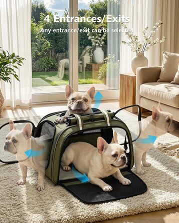 Переноска для котів та собак Pecute XL (55x38x35 см) - складна сумка-переноска з вікном, м'яким килимком, для авто, подорожей, ветеринара, зелена