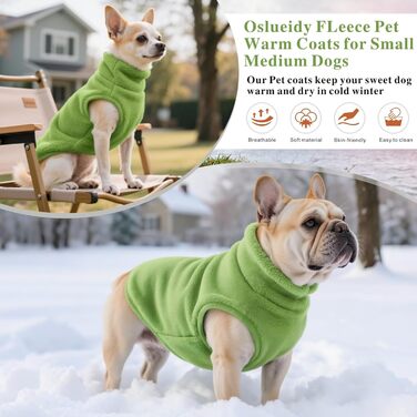 Теплий зимовий одяг для собак: куртка, пуловер, худі, комбінезон з флісу для малих, середніх та великих собак XS-XXL (зелений, S)