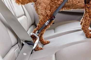 Ремінь безпеки для автомобіля V2 L Large